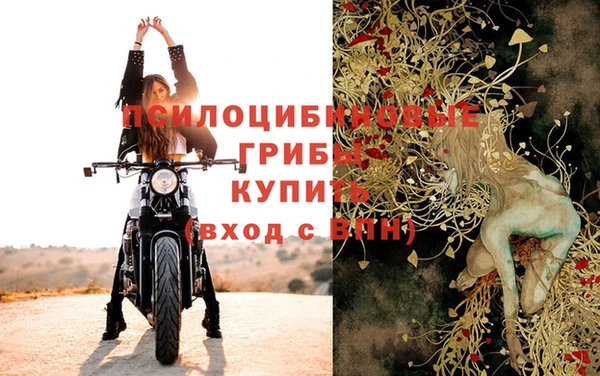ПСИЛОЦИБИНОВЫЕ ГРИБЫ Алексин