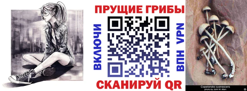 как найти закладки  Тула  Галлюциногенные грибы прущие грибы 